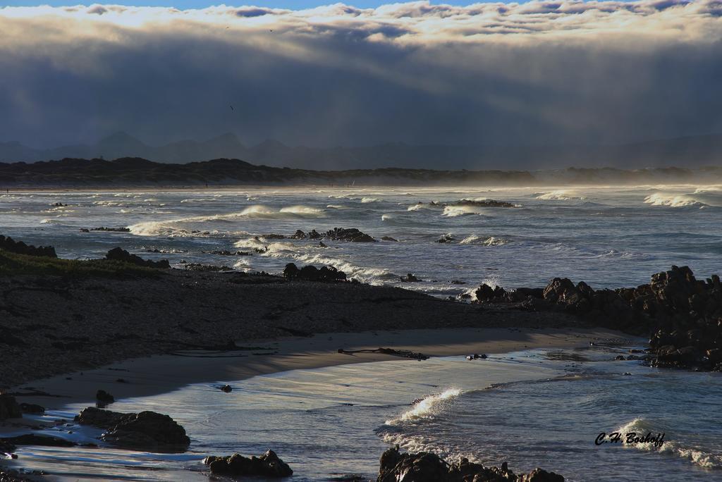 Walkerbay Accommodation Gansbaai Extérieur photo